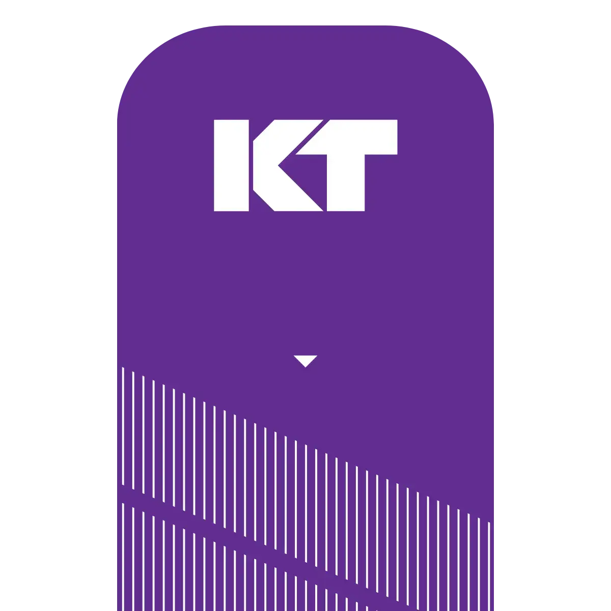 KT Tape Pro® Synthetic Kinesiology Tape – Precut Strips - Image 32
