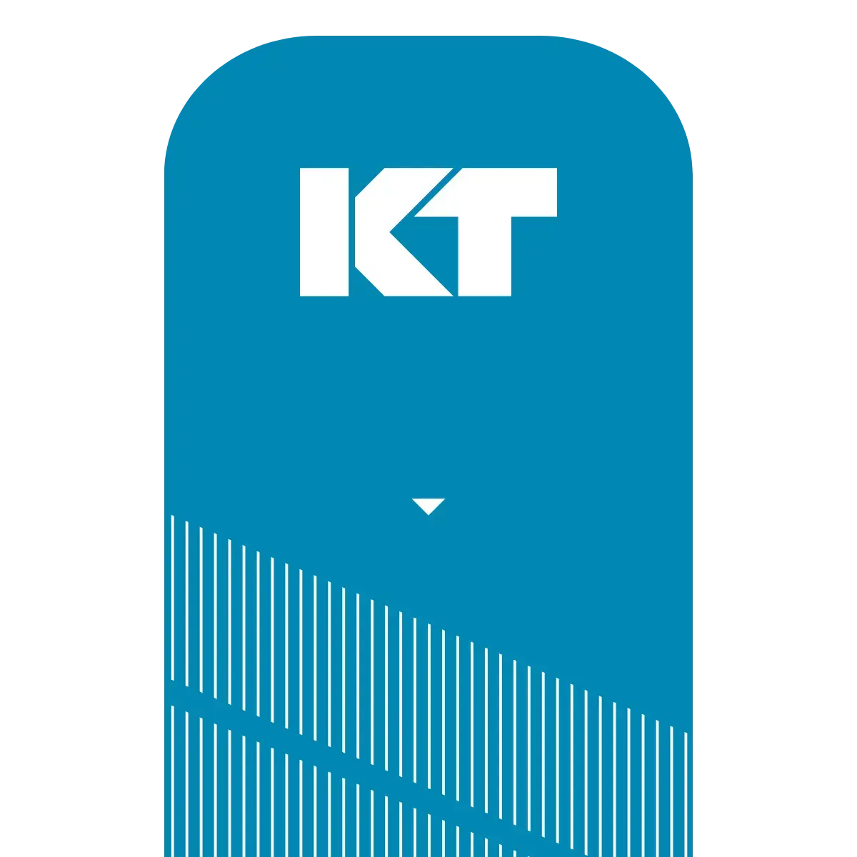 KT Tape Pro® Synthetic Kinesiology Tape – Precut Strips - Image 56