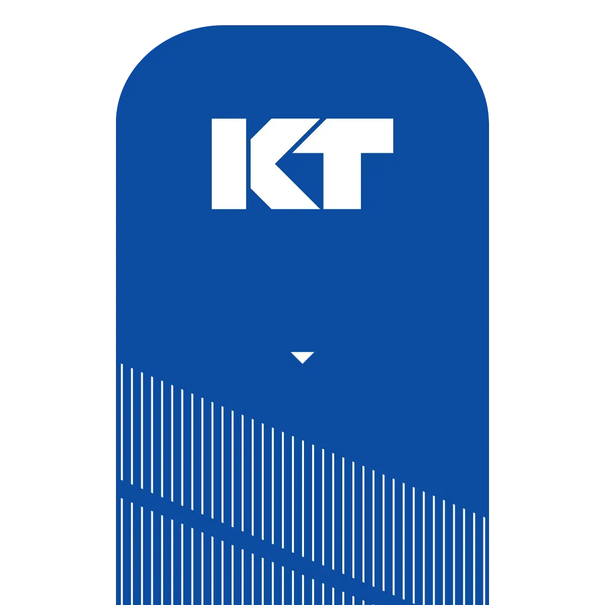 KT Tape Pro® Synthetic Kinesiology Tape – Precut Strips - Image 14